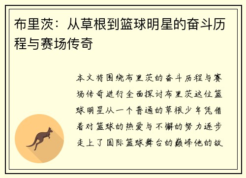 布里茨：从草根到篮球明星的奋斗历程与赛场传奇
